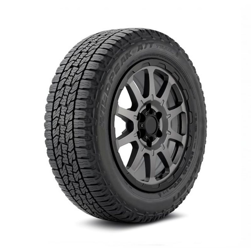 Imagen de 225/55R19 FALKEN WPATTR AT 99V TH